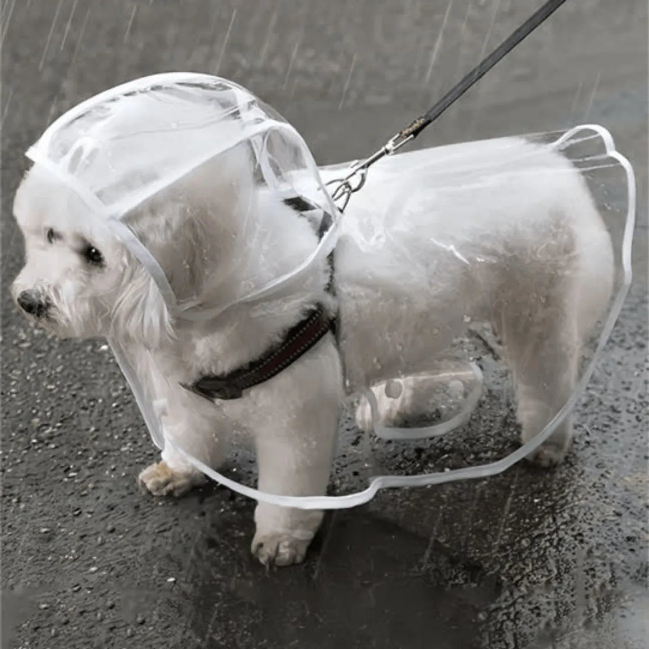 Waterproof Pet Raincoat With Hood And Button Closure