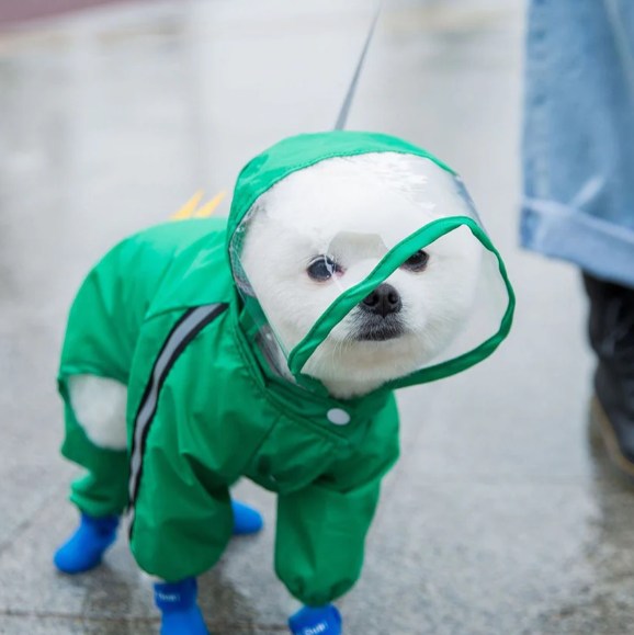 Raincoat For Pets